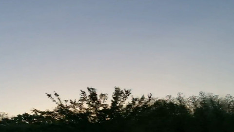 5.22.19 - Bushwacked