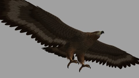 Eagle Rig