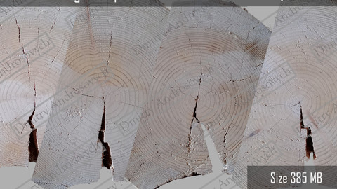 Wood log ends Texture pack vol.1