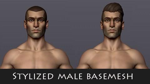 Stylized Male basemesh