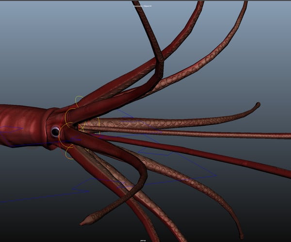 ArtStation - Game Ready Rigged Giant Squid | Resources