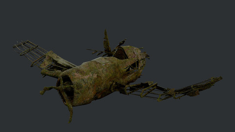Plane Wreck Damaged Apocalyptic Game Ready 02