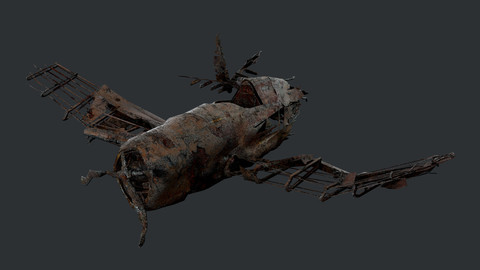 Plane Wreck Damaged Apocalyptic Game Ready 01