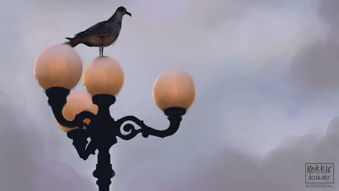 Brighton & Hove Reference Pack