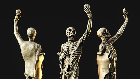 The Skeleton / Sculpture / 3D model