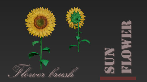 Sunflower flower brush for Zbrush