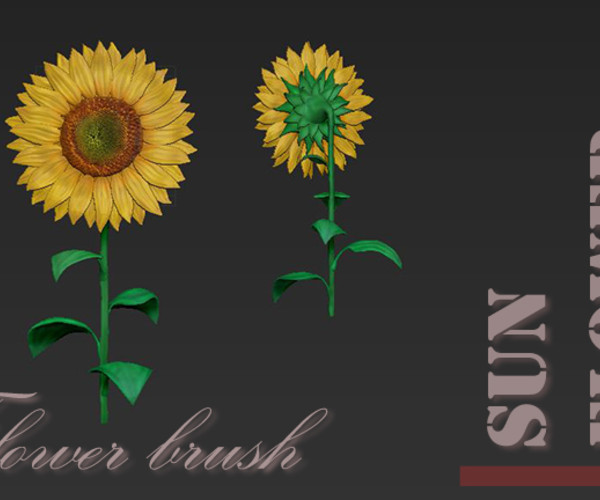 ArtStation Sunflower flower brush for Zbrush Brushes