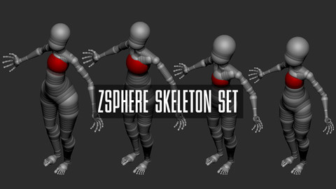 ZSphere Skeleton Set Stylized (ZBrush)