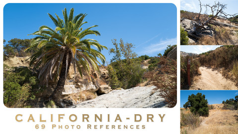 CALIFORNIA - DRY - 69 photo references