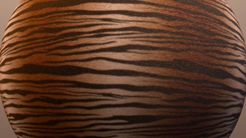 Tiger Substance Material and Maps