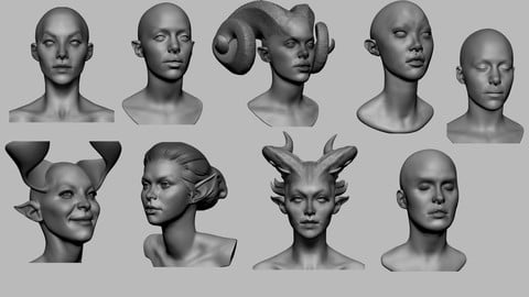 Female Head Collection