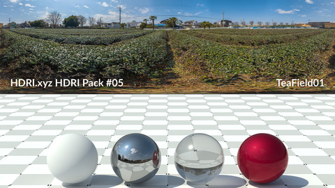TeaField01- 16K 32bit HDRI Spherical Panorama (from Pack #5)