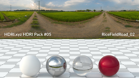 RiceFieldRoad #02 - 16K 32bit HDRI Spherical Panorama (from Pack #5)