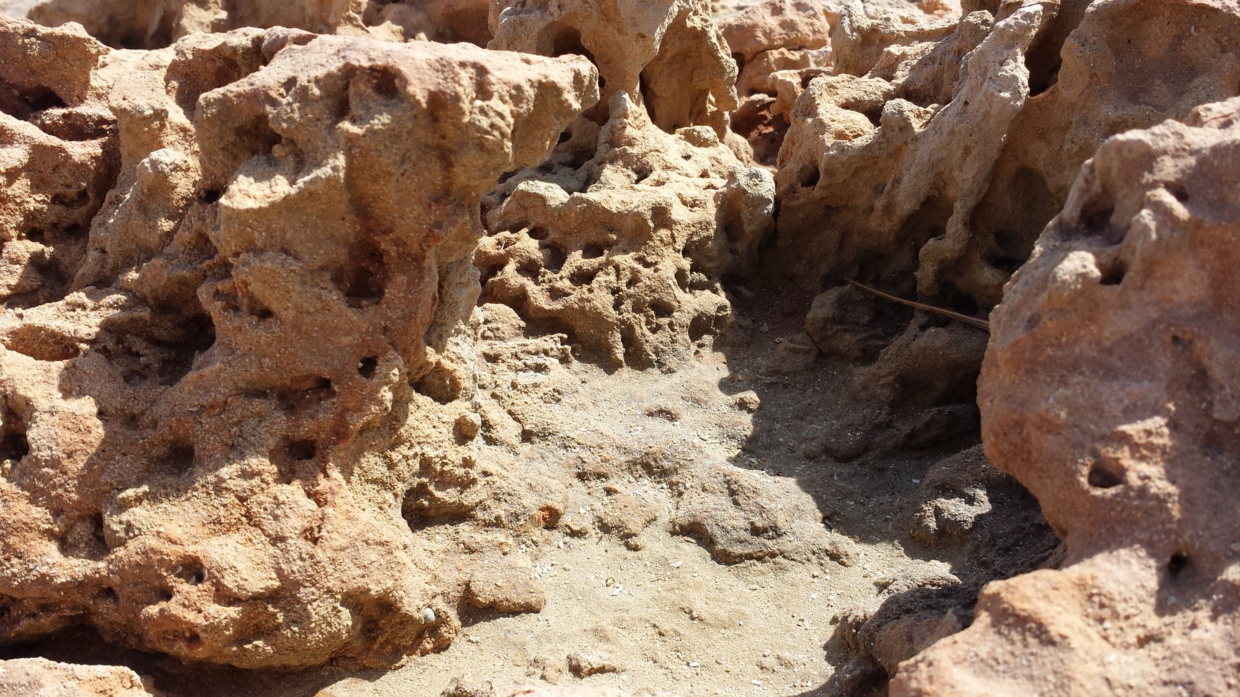 ArtStation - Alien Rocks - Reference pictures | Resources