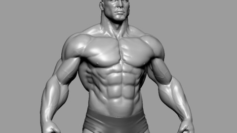 Stylized Male Hero Body