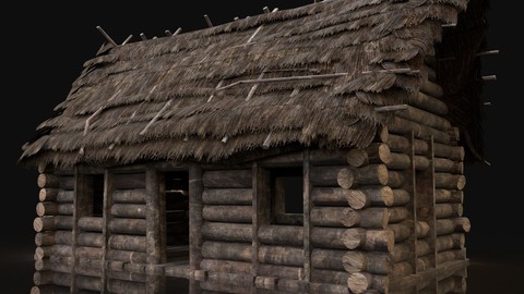 AAA Next Gen Generic Thatched Log House Cottage Hut