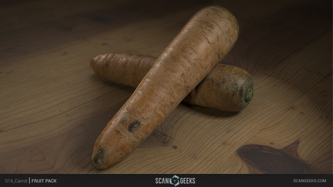 Carrot - Photogrammetry Asset 3D PhotoScan
