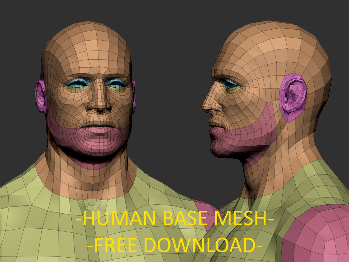 zbrush human base mesh