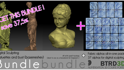 Bundle - Digital Sculpting basemeshes + 37 alphas wrinkled fabric
