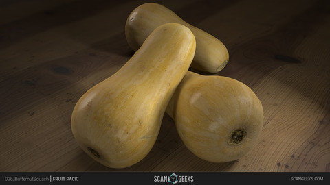 Butternut Photogrammetry Asset 3D PhotoScan