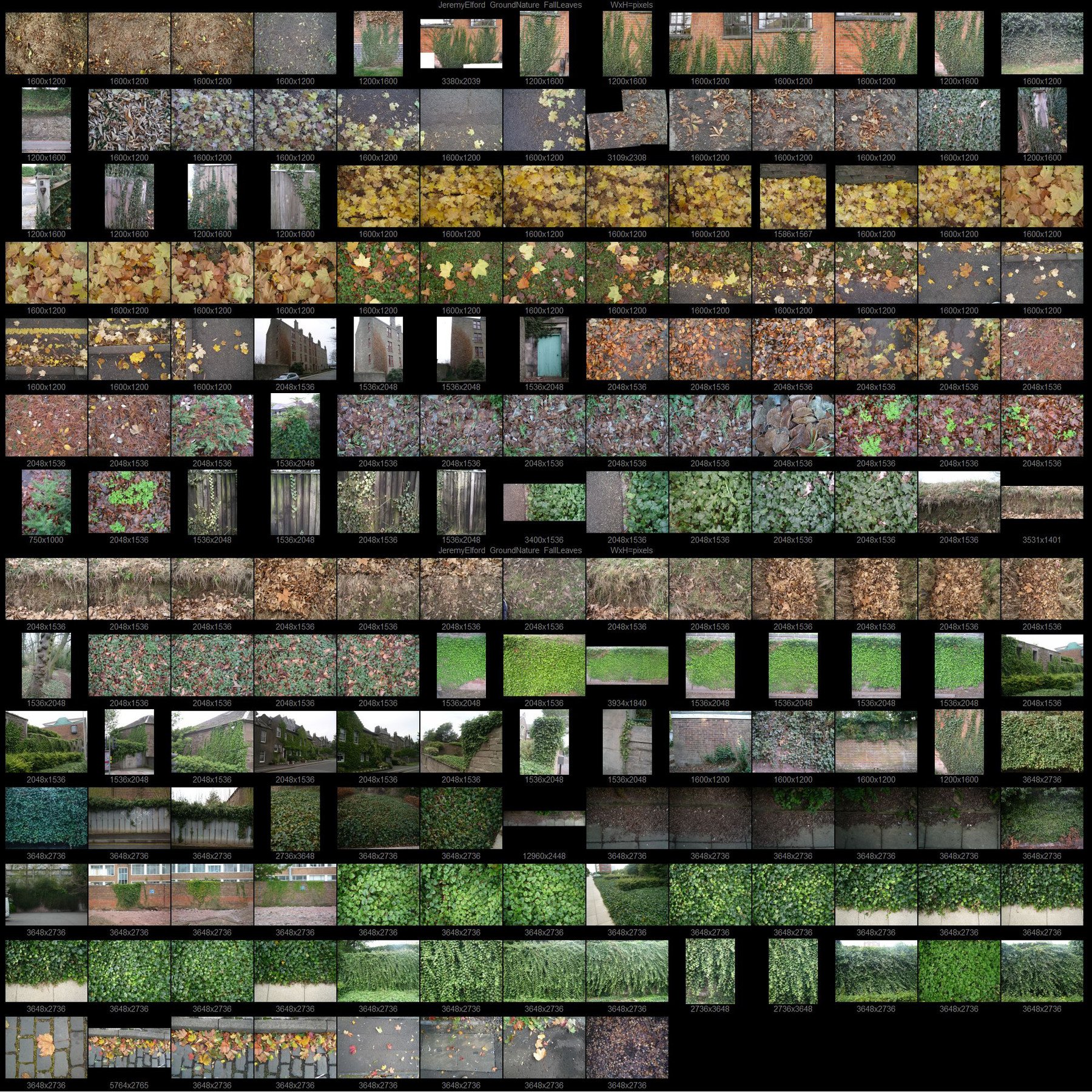 ArtStation - Ground Texture Reference 1 - Nature | Resources