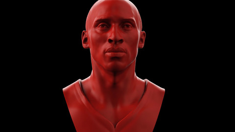 Kobe Bryant 3d print model