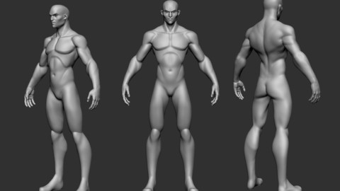 basemesh MEDIUM cartoon Highpoly