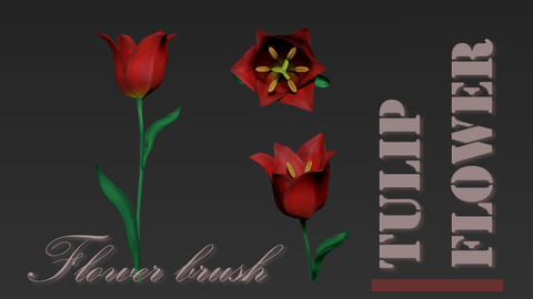 Tulip flower brush for Zbrush