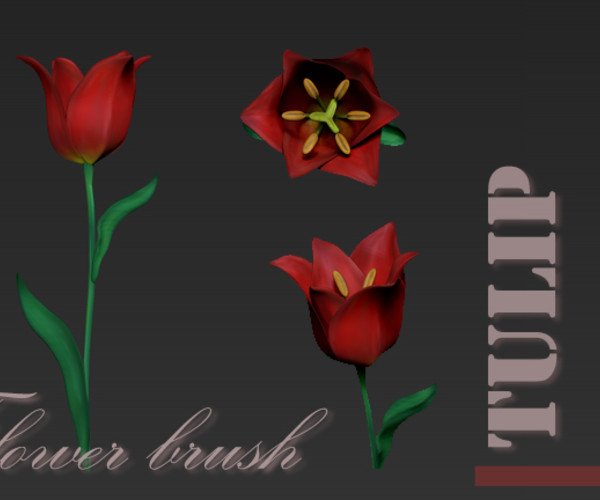 ArtStation Tulip flower brush for Zbrush Brushes