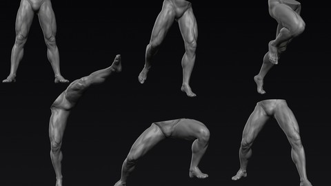 Male Legs 6 Poses