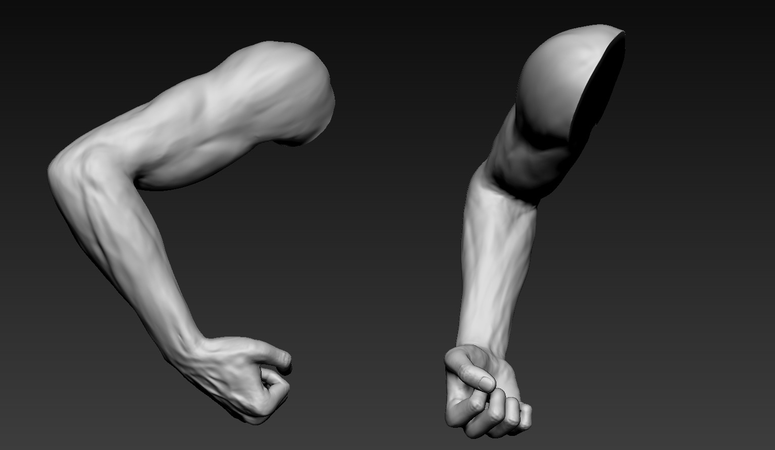 Male arms. Arm 3d model. Давид анатомия 3d. Худые конечности 3д. Man Arm 3d model.