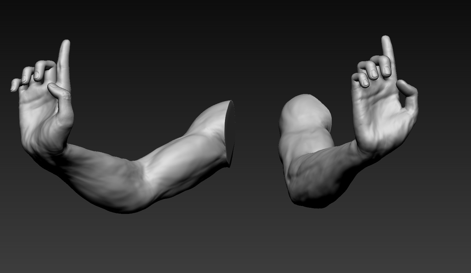 Male arms. Arm 3d model. Man Arm 3d model. Male Arm 3d. 3d male Arms download.