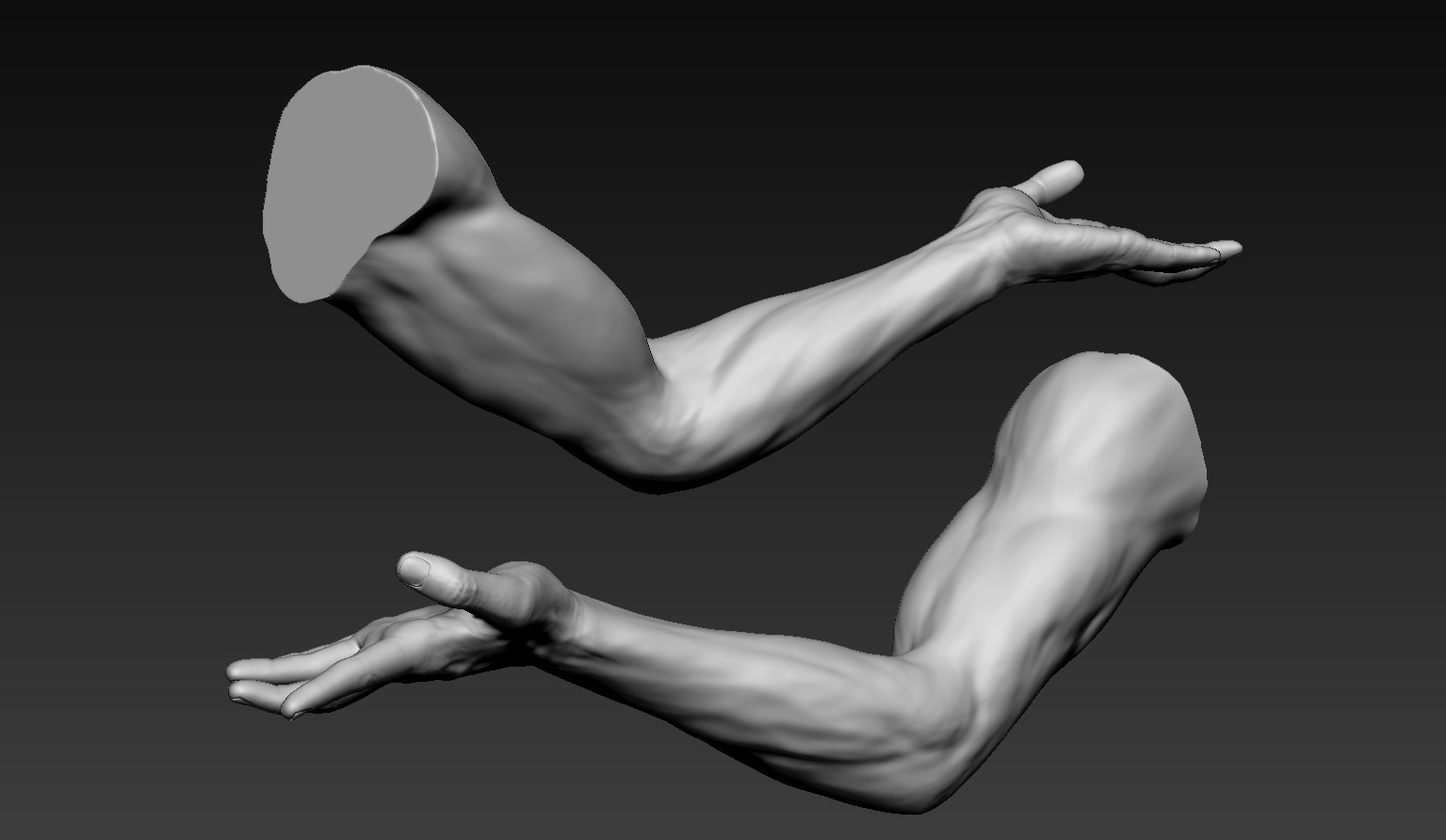 Male arms. Arm 3d model. Man Arm 3d model. Arm pose. Muscul Arm 3d model.