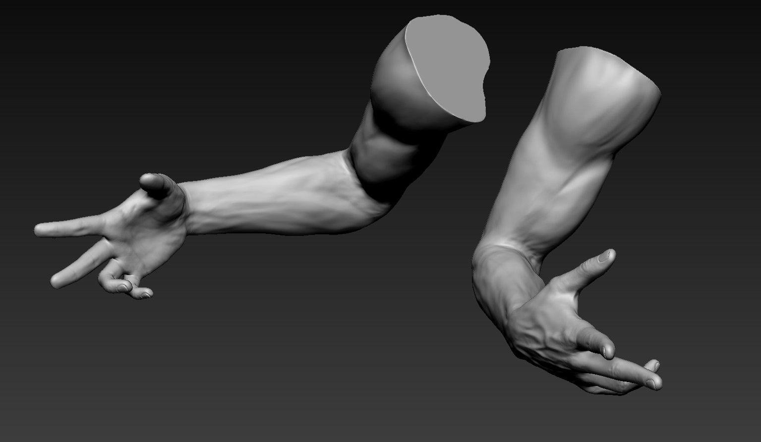 Male arms. Arm 3d model. Arm 3d model free.