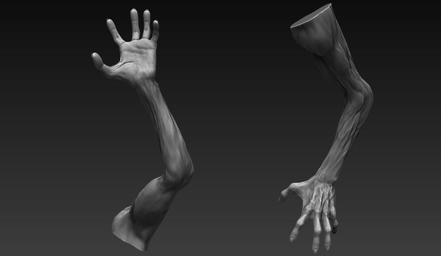 ArtStation Zombie Arms 12 Poses Resources