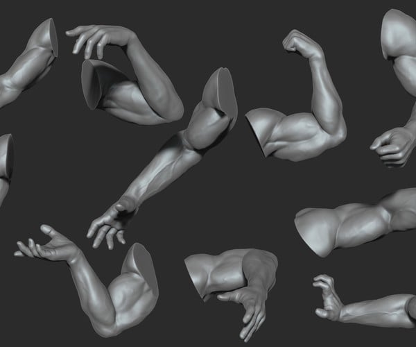 ArtStation - Muscular Male Arms 10 Poses | Resources