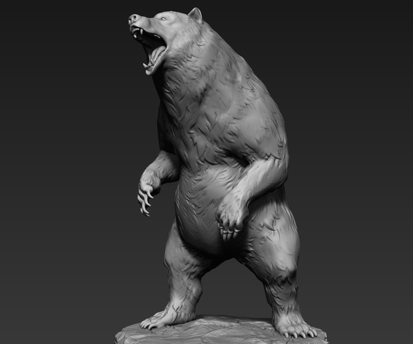 ArtStation - Bear Sculpt in Blender