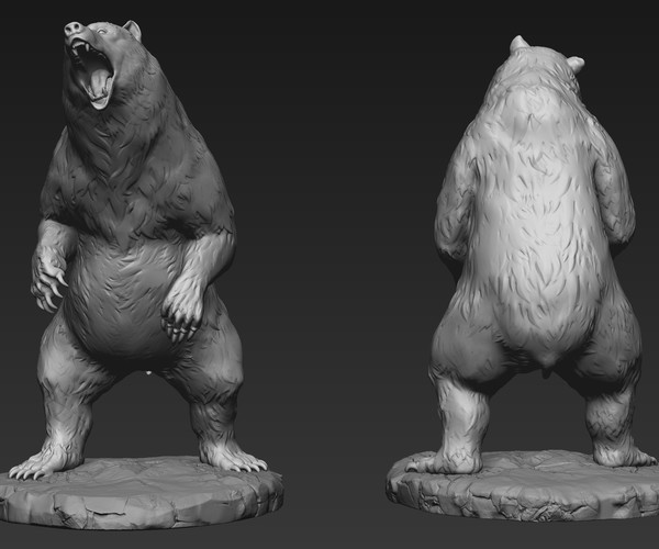 ArtStation - Bear Sculpt in Blender