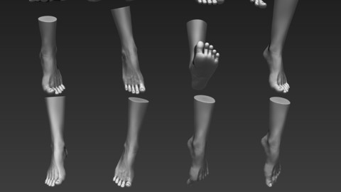 Female Feet 12 Poses