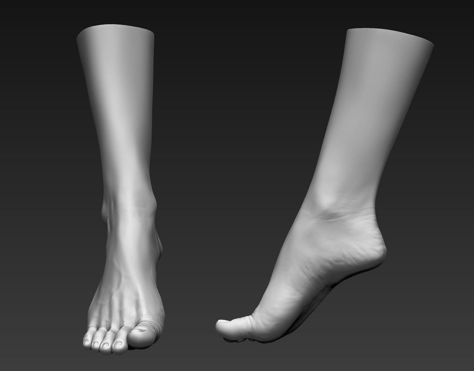 Foot search. Стопы референс 3д. Референс ступни для 3d моделирования анатомия. Ступня 3д. Стопа 3д модель.