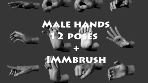 12 Male Hands IMM