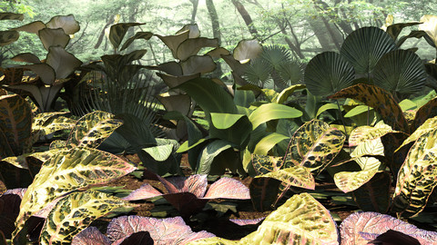 Set tropical plants (12 types)