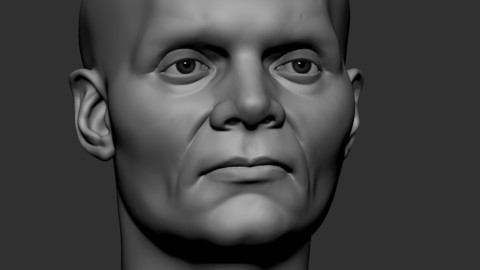 Head model5