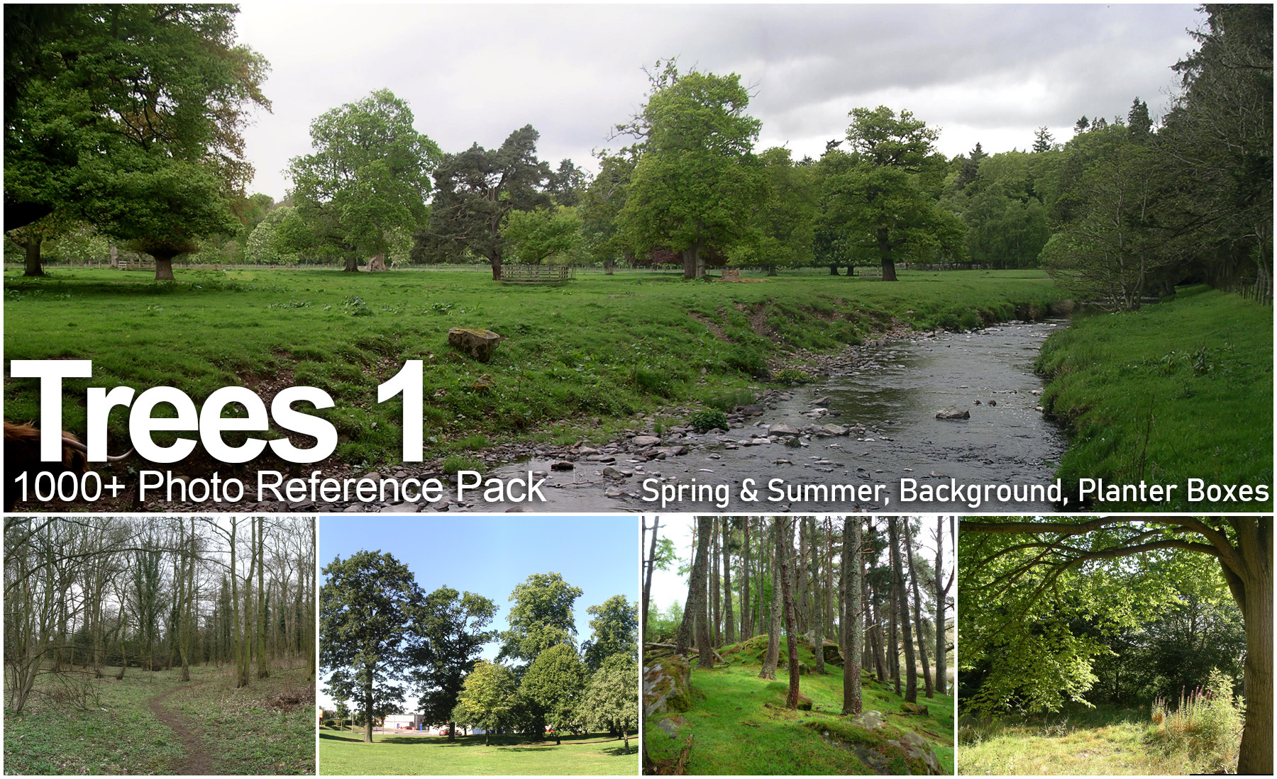 ArtStation Tree Reference 1 Resources