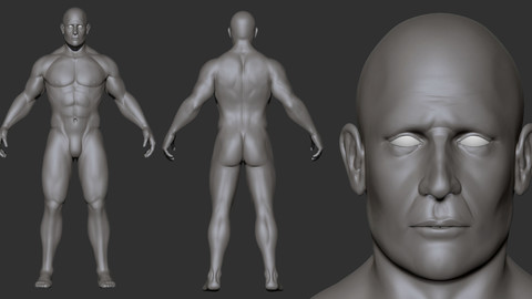 Male Base Mesh