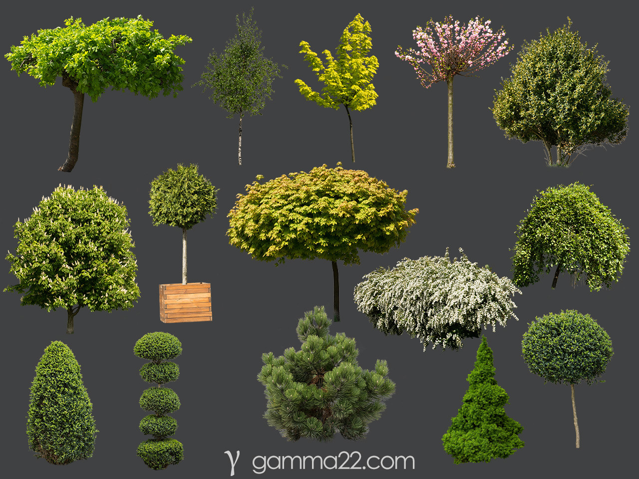 ArtStation - 15 TREE & BUSH CUTOUTS in PNG format | Resources
