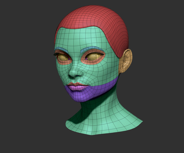 ArtStation - Female head nr 2 base mesh | Resources