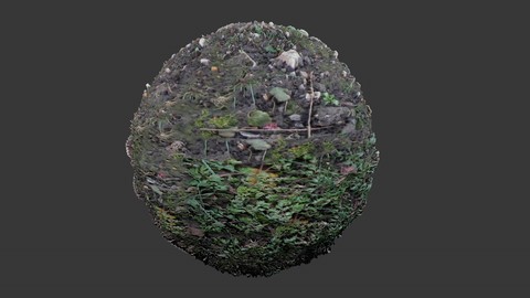 SEAMLESS GROUND DIRT TEXTURE 4