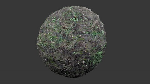 SEAMLESS GROUND DIRT TEXTURE 6