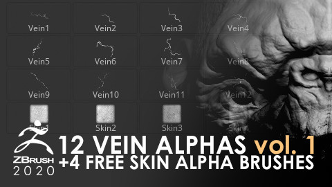 12 Vein Alphas + 4 Free Skin Alpha Brushes vol. 1